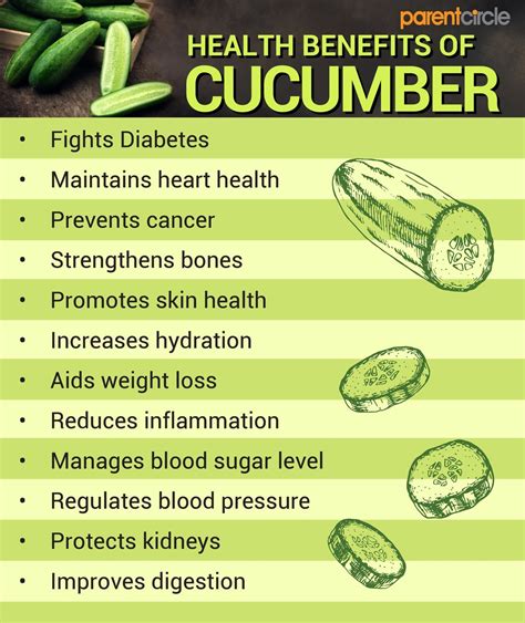 20 Health Benefits Of Cucumber