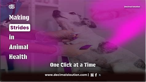 Animal Health Clinical Trial Solutions