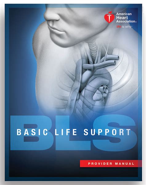 Basic Life Support For Healthcare Providers