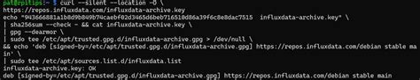 Influxdb Instance Health Curl Command