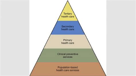 Levels Of Health Care Services Pyramid